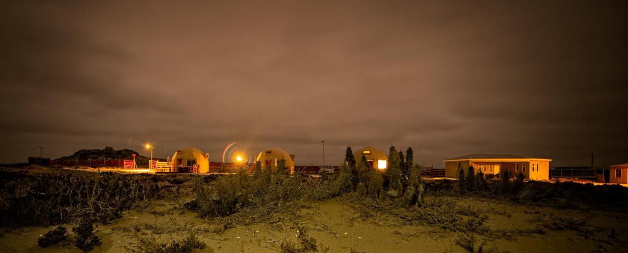Entre Dunas Y Caracolas Punta de Choros Exterior foto