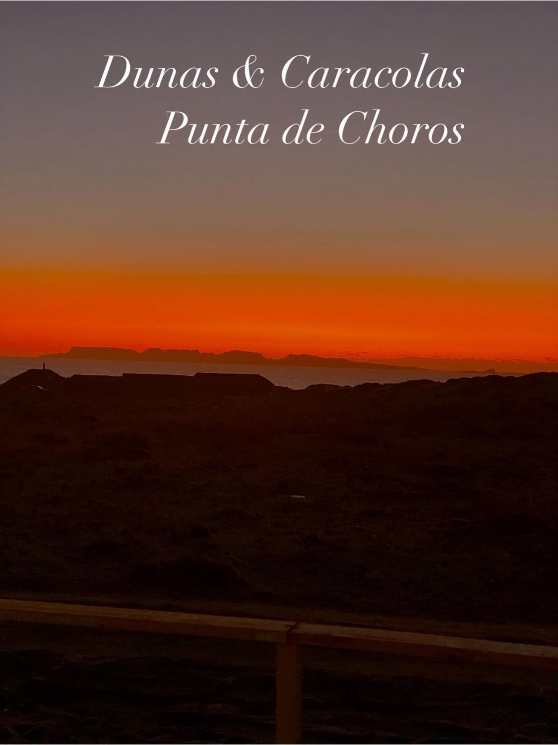 Entre Dunas Y Caracolas Punta de Choros Exterior foto